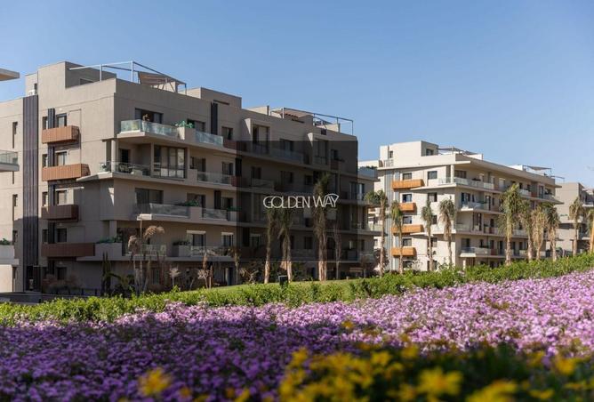 8497145 - Property Image 3