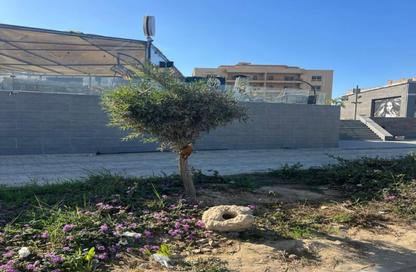 محل تجاري - استوديو - 1 حمام للايجار في طريق وصلة دهشور - الحزام الاخضر - مدينة 6 أكتوبر - الجيزة