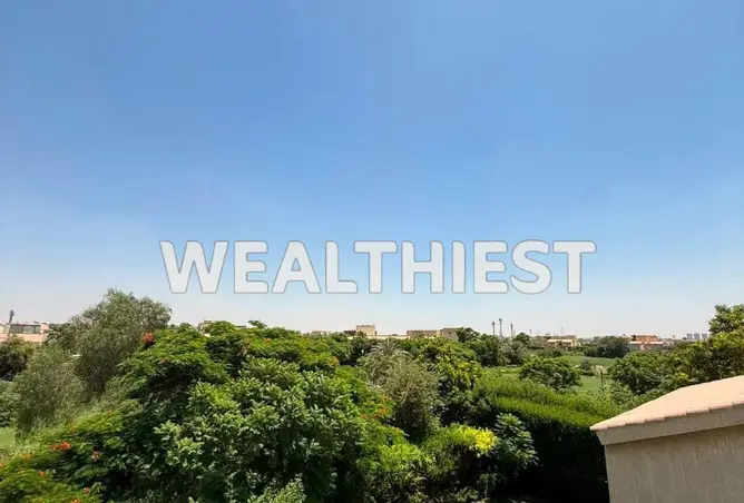 114902625 - Property Image 2