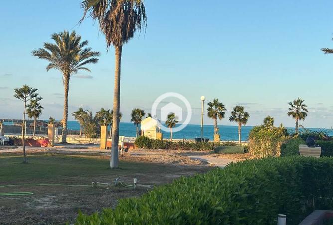 100923877 - Property Image 3