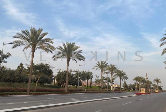 77606153 - صورة العقار 2