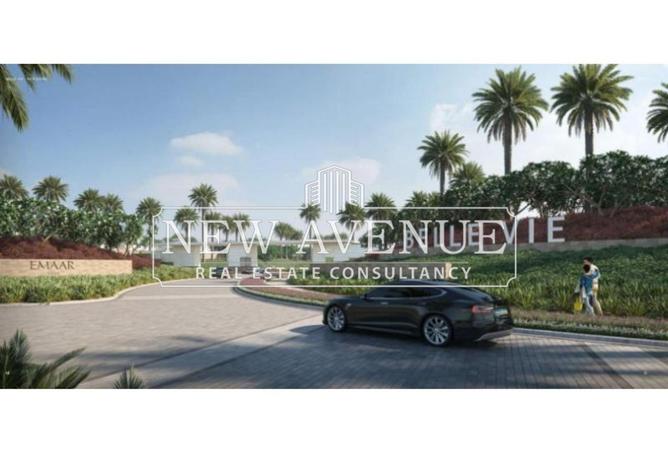 52447413 - Property Image 3