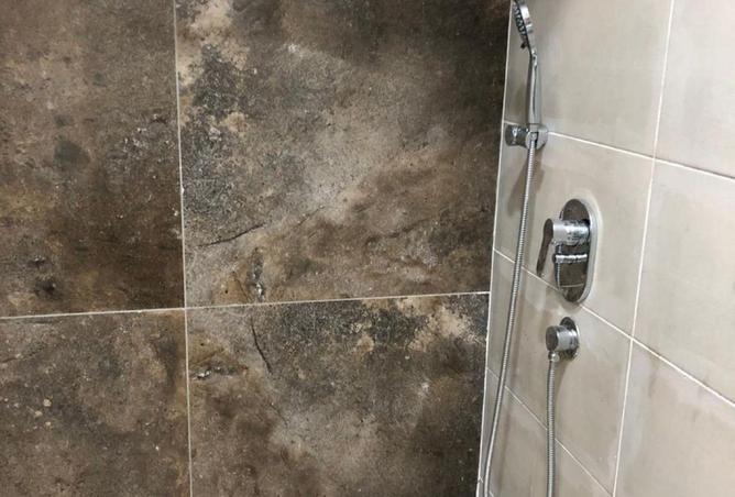 58251236 - Property Image 3