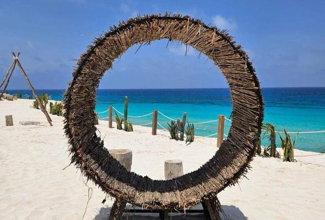 56502252 - صورة العقار 3