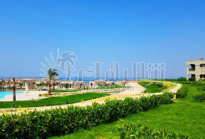 8637048 - Property Image 3