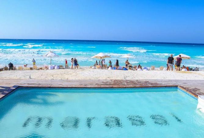 59237295 - Property Image 2