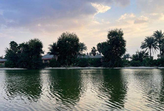 56506625 - Property Image 3