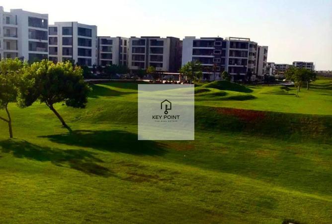 53981033 - Property Image 3