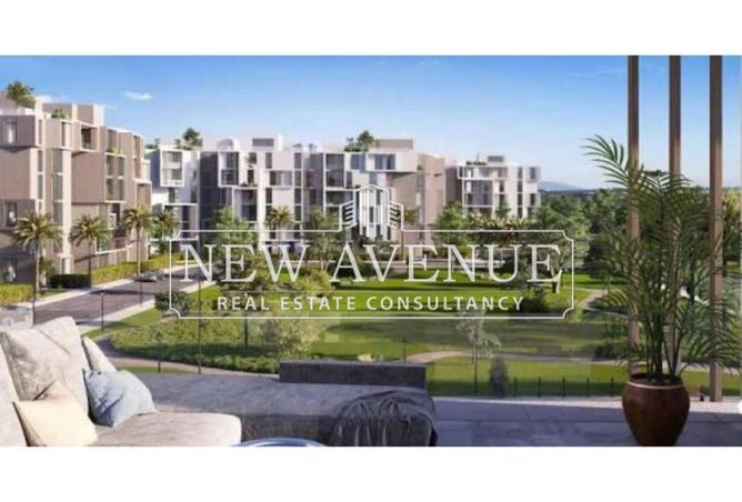 58242834 - Property Image 3