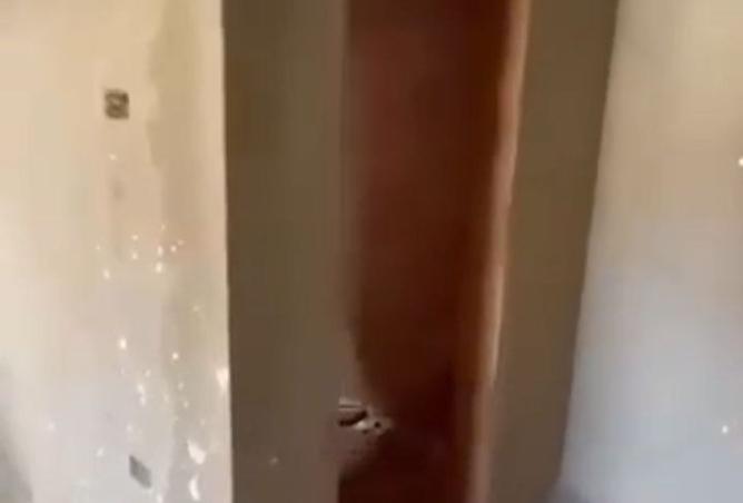 100649381 - صورة العقار 3