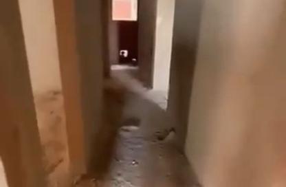شقة - 3 غرف نوم - 3 حمامات للبيع في المنطقة السادسة شرق - مدينة الشروق - القاهرة