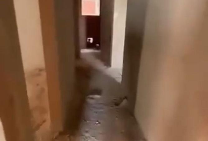 100649381 - الصورة الرئيسية للعقار