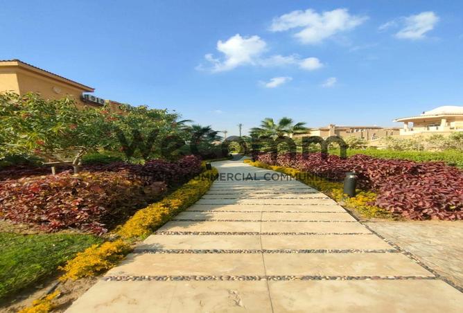 63145899 - Property Image 3