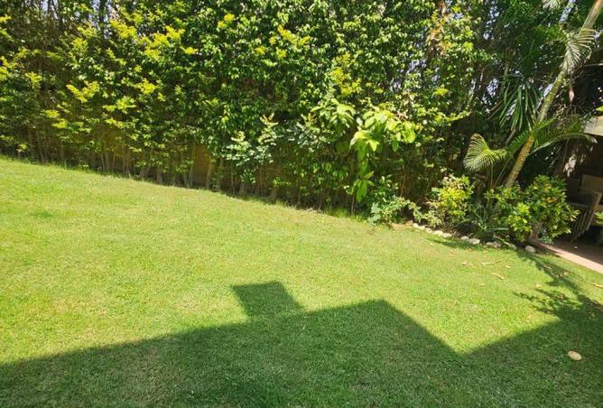 55498287 - صورة العقار 3