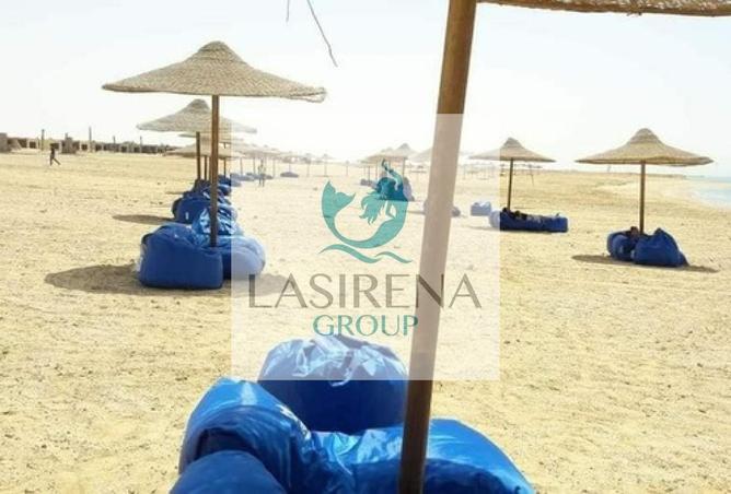 8416659 - Property Image 3