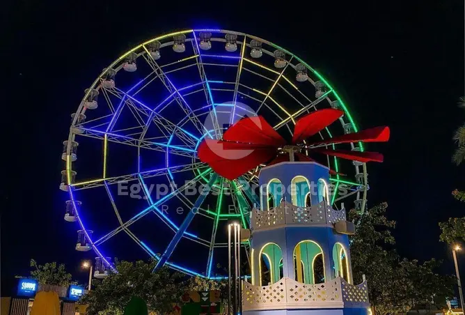 113826045 - صورة العقار 3