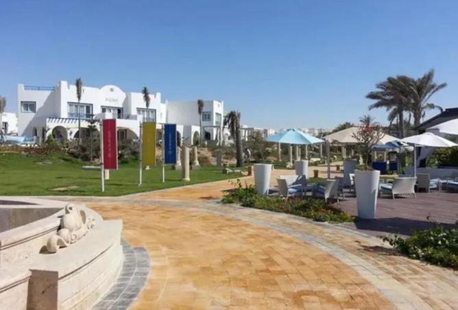 55498286 - Property Image 3