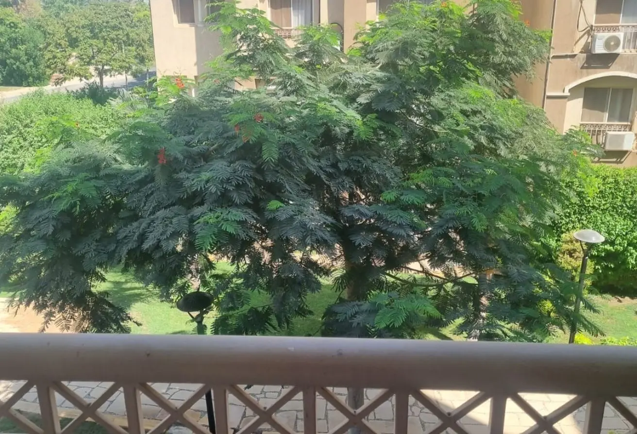 115175557 - Property Main Image