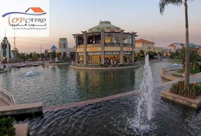 65162876 - صورة العقار 3