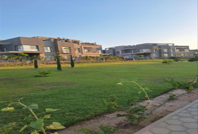 97706793 - صورة العقار 3