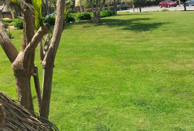 55992942 - صورة العقار 2