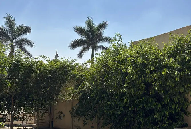 109917050 - صورة العقار 3