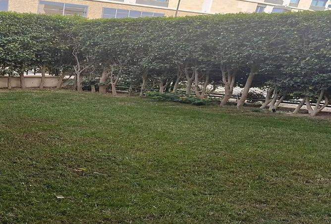 87211505 - صورة العقار 3