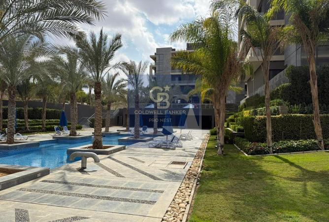 64894721 - صورة العقار 3