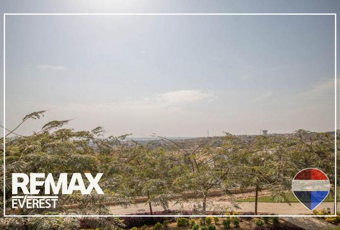 63107849 - Property Image 2