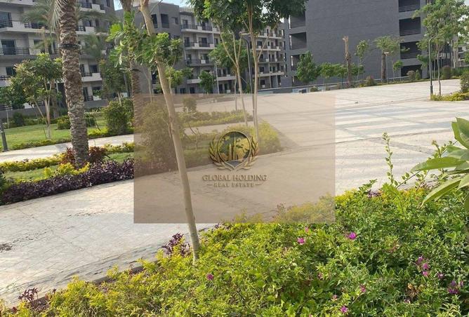 57236024 - Property Image 3