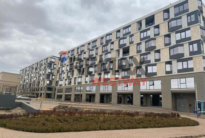 8464418 - Property Image 3