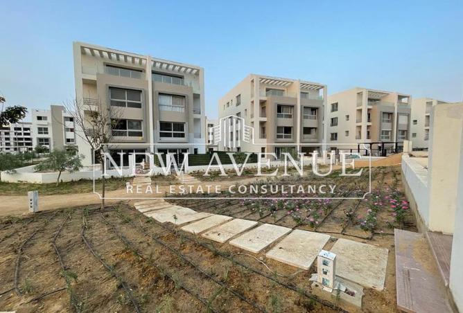 68790706 - صورة العقار 3