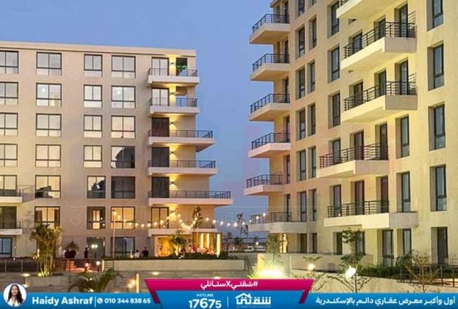 8477642 - Property Image 3