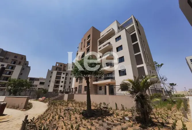 114621125 - Property Image 3