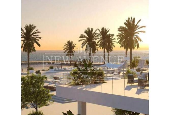 74043580 - Property Image 3