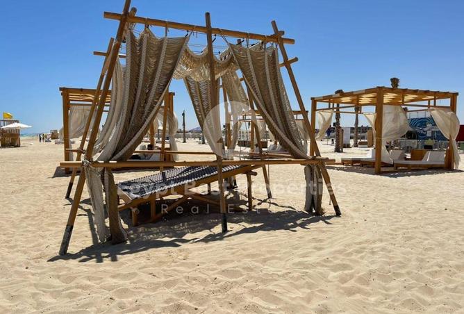 66172919 - صورة العقار 3