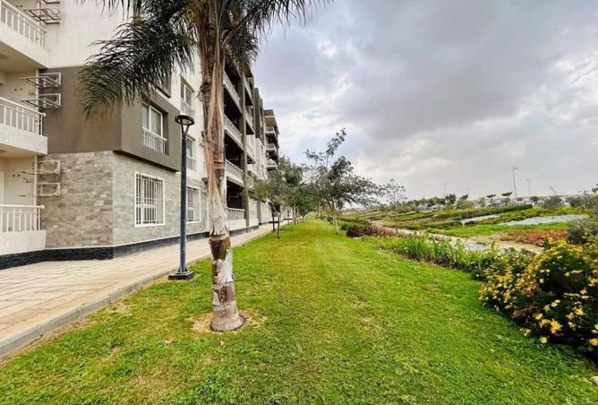 96585915 - Property Image 3