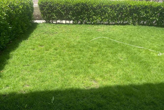 77325127 - Property Image 2