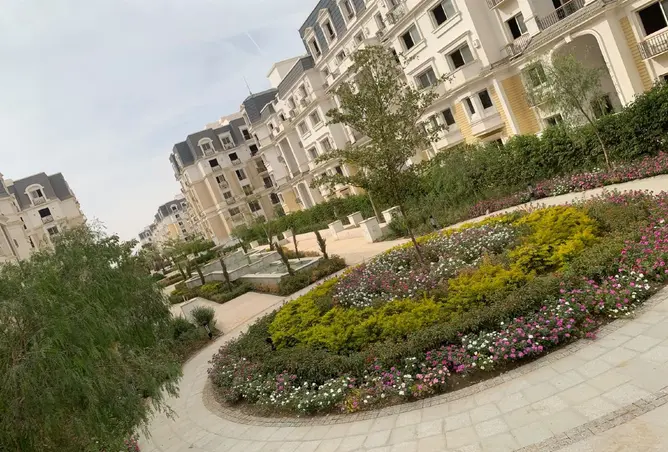118545396 - صورة العقار 3