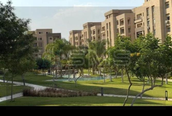 67741180 - Property Main Image