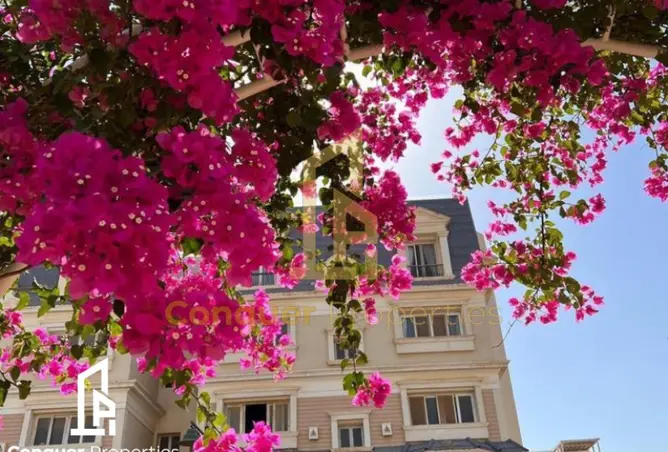 111608655 - صورة العقار 2