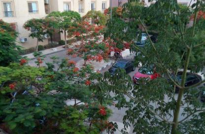 Apartment - 3 Bedrooms - 2 Bathrooms for rent in El Rehab Extension - Al Rehab - New Cairo City - Cairo