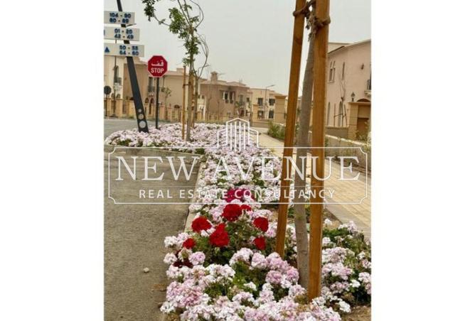 8603841 - صورة العقار 3