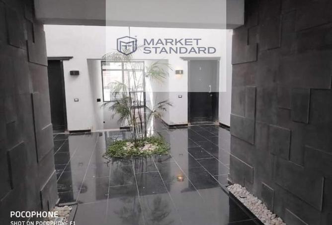 81315995 - صورة العقار 3