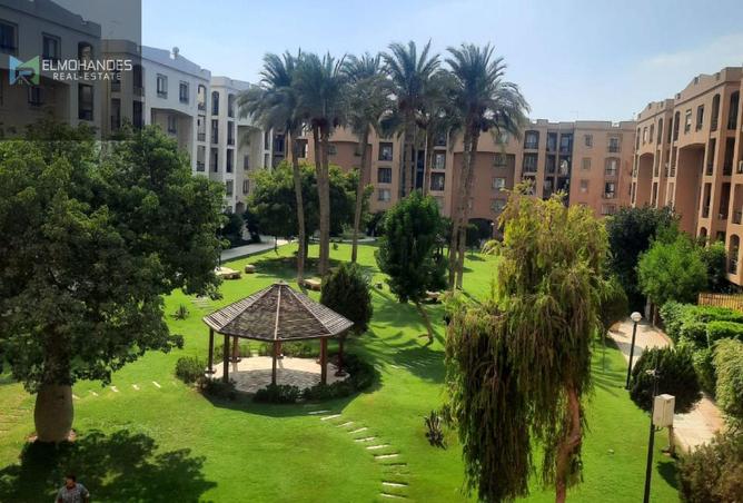 8450811 - الصورة الرئيسية للعقار