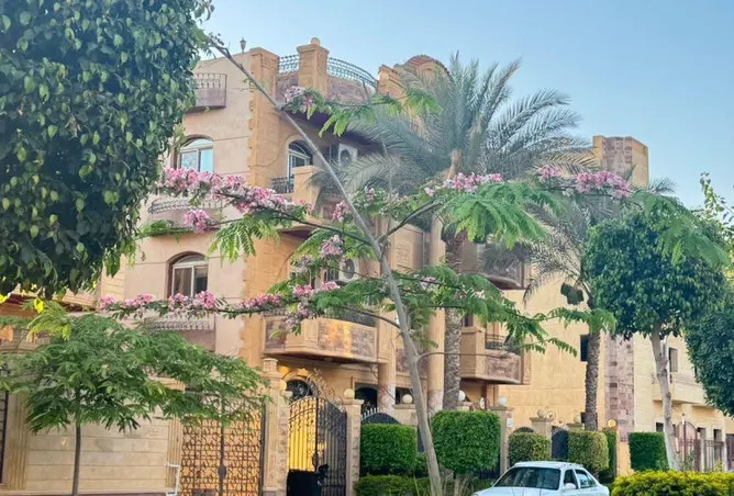 81570824 - صورة العقار 2