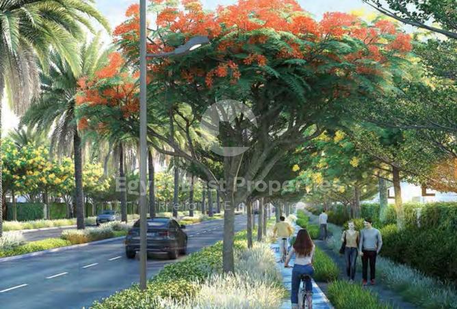 8584582 - Property Image 3