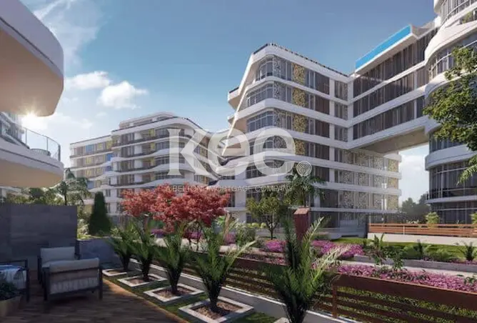 113536674 - Property Image 3