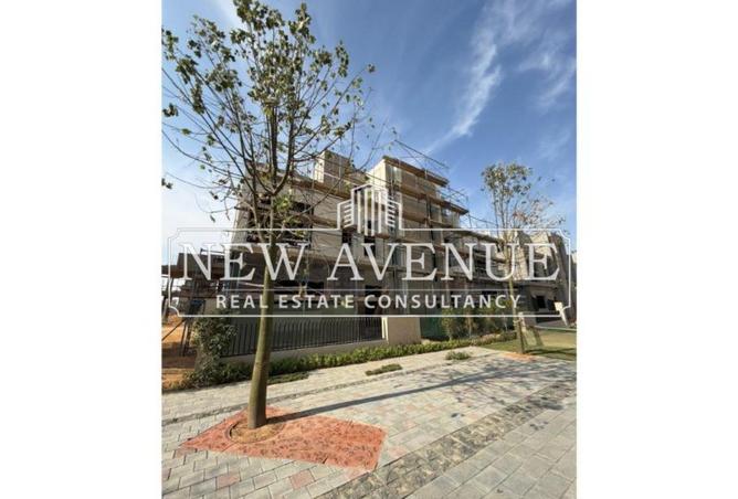 54239596 - Property Image 2