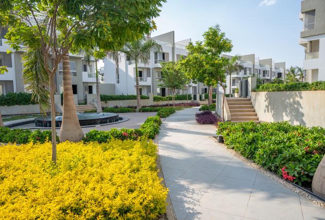 65919696 - صورة العقار 2